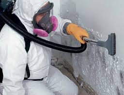 Professional Mold Removal in Baldwinsville, NY